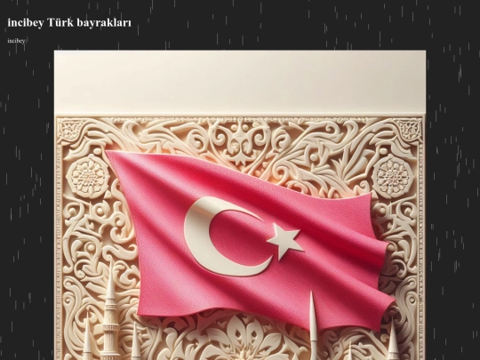 Bayraklar screenshot