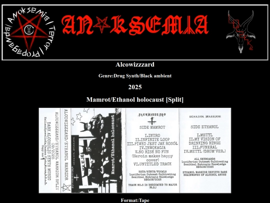 alcowizzzard screenshot