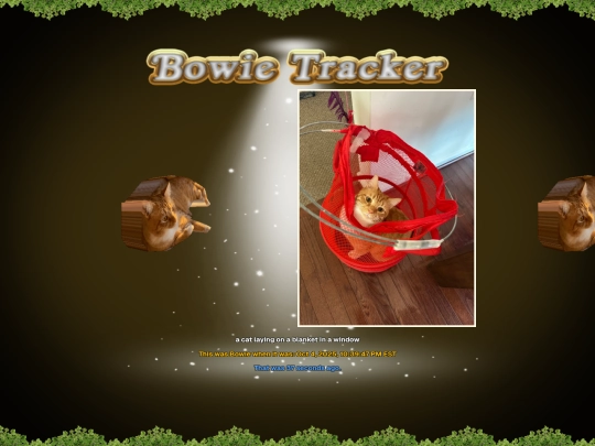 bowietracker screenshot