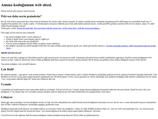 amksitesi screenshot