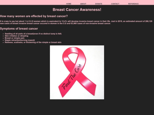 project screenshot