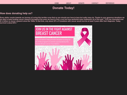 website/donate screenshot