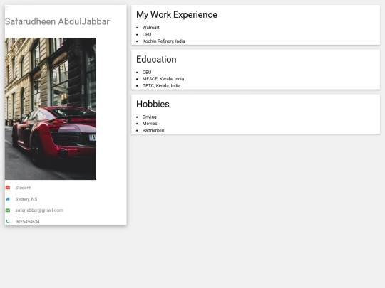 resume2 screenshot