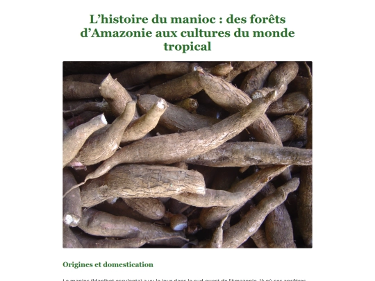 histoire screenshot