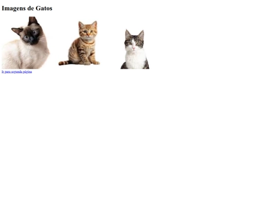 atividade06 screenshot
