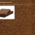 pumpernickelappreciationsociety.yorniq.xyz avatar
