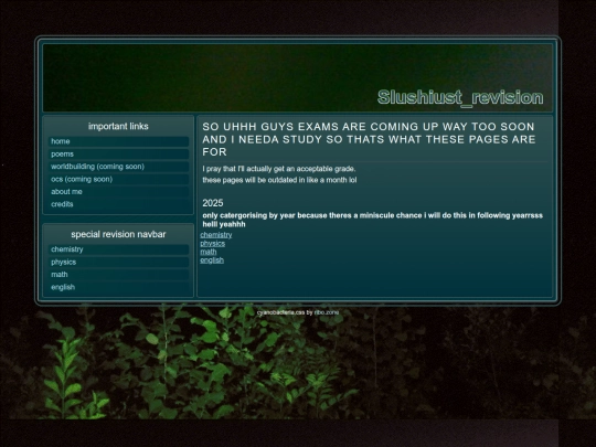 revision screenshot
