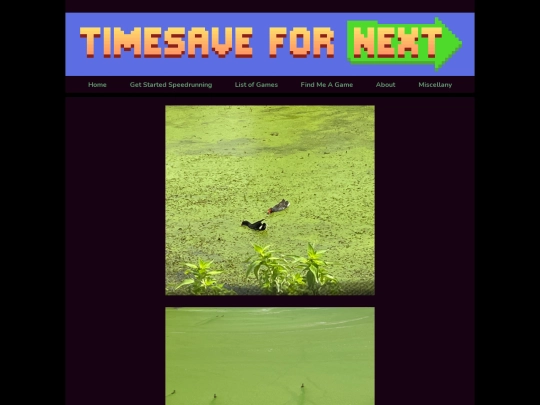 pesto screenshot