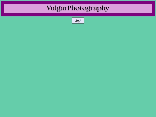 8161 screenshot