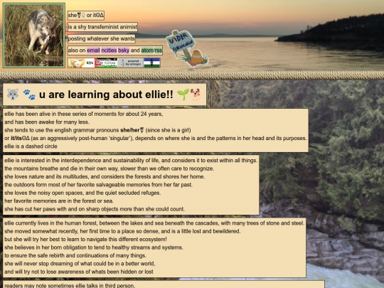 about screenshot