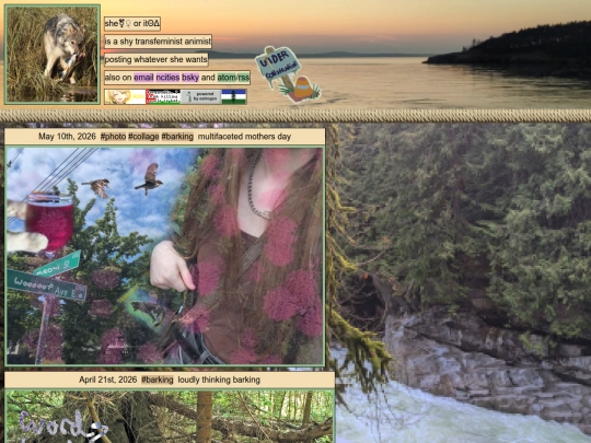 barking screenshot