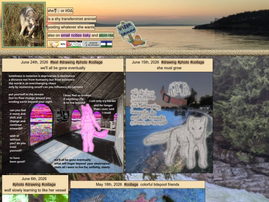 collage screenshot