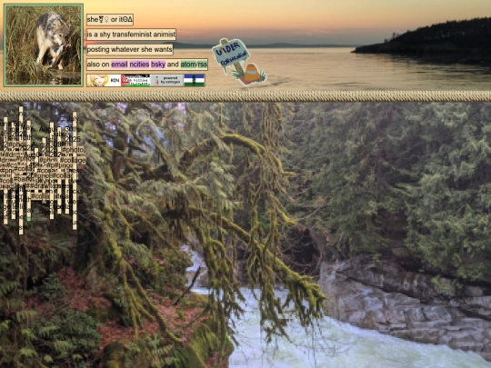 photo screenshot