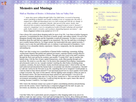 essay1 screenshot