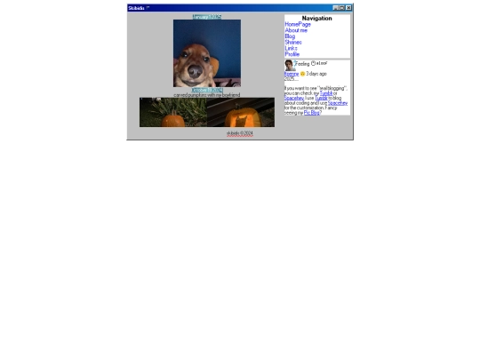 picblog screenshot