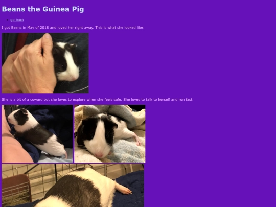 beans screenshot