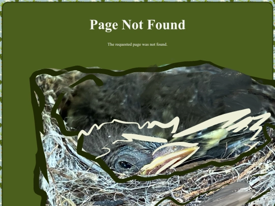 pagenotfound screenshot