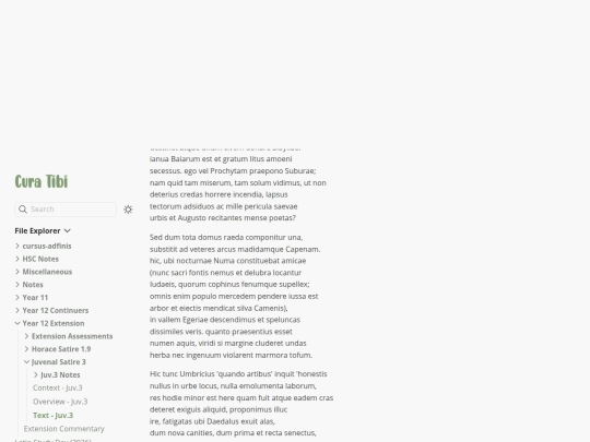 latin-notes/y12-ext/juv_3/text screenshot