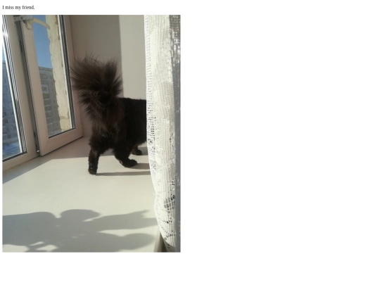 cat screenshot