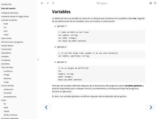 projects/minipas/lang/vars screenshot