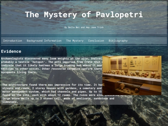 evidence screenshot