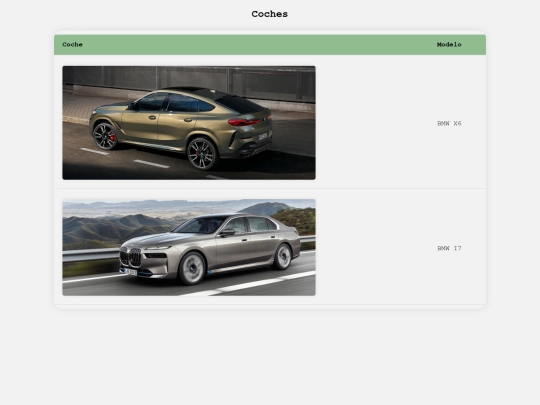 proyecto/tiposbmw screenshot