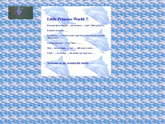 dolphin screenshot