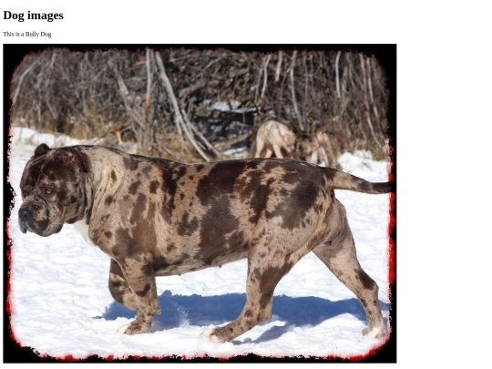 images screenshot
