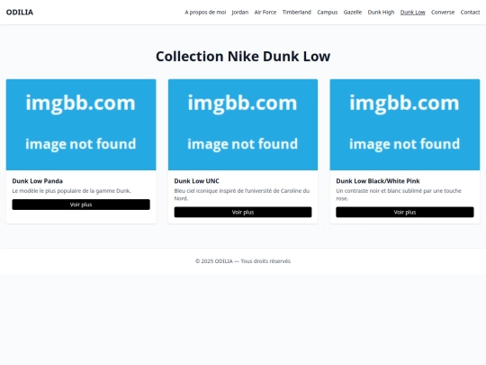 dunk-low screenshot