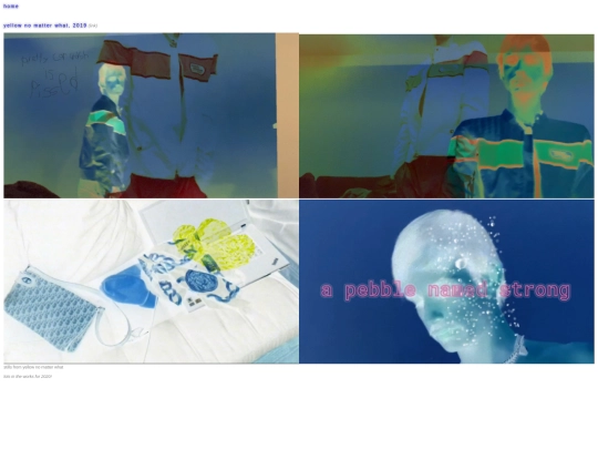 video screenshot