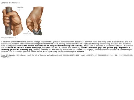 hands screenshot