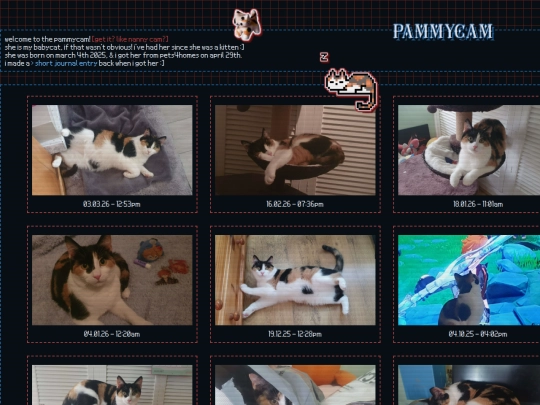 pammycam screenshot