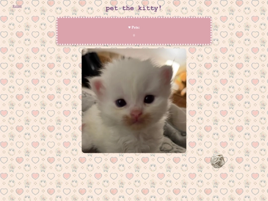 kitty screenshot