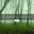 eldergloomgrove.yorniq.xyz avatar