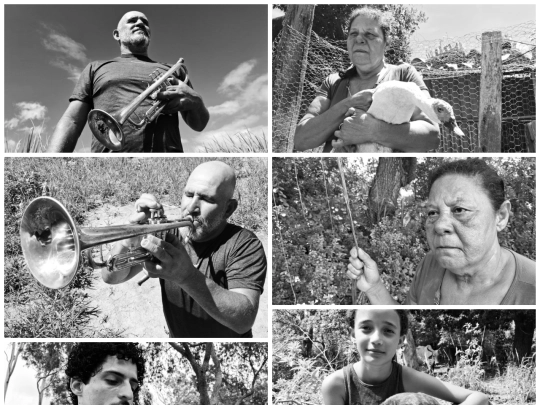 quem screenshot