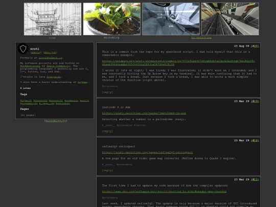 microblog/tags/programming/latest screenshot