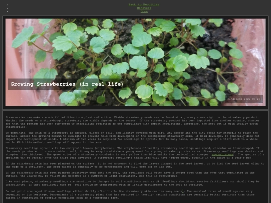 pages/growing-strawberries screenshot