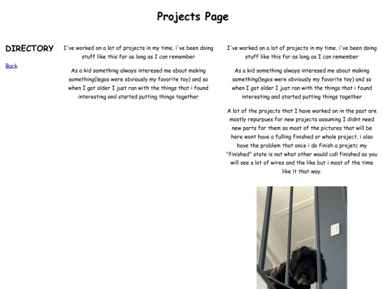 projects screenshot