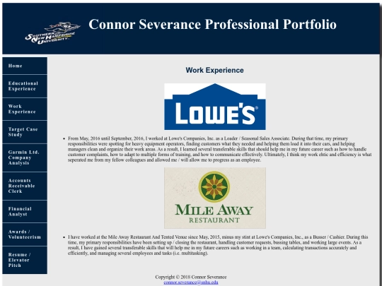 workexperience screenshot