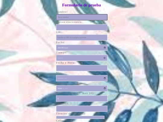 Formulario screenshot