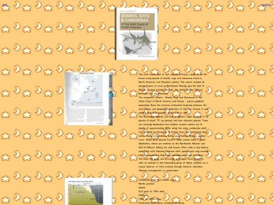 main.page/beach/marine.science/sharks/DavidAEbertMarcDandoFieldGuideSharksRaysChimaerasofEastCoastofNorthAmerica screenshot