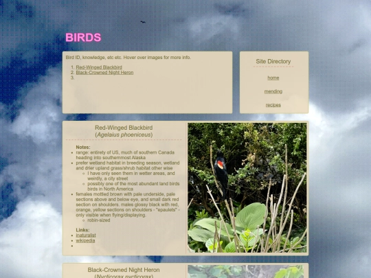 birds screenshot