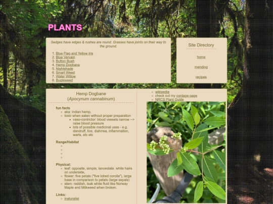 plants screenshot