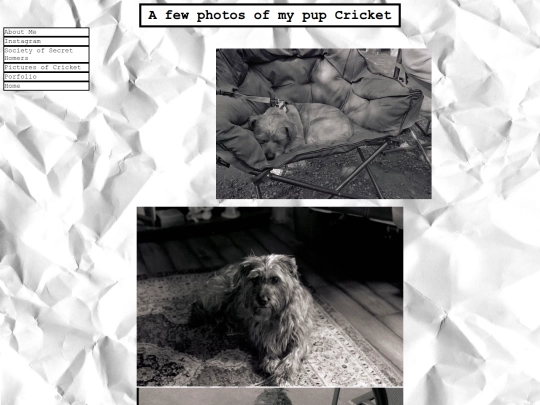 pages/cricketpics screenshot