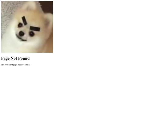 not_found screenshot
