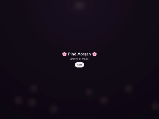 FINDMORGAN screenshot