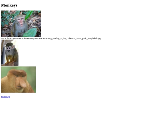 monkeys screenshot