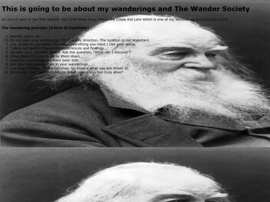 thewandersociety screenshot