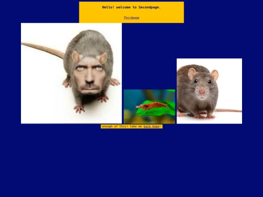 secondpage screenshot