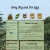 grayjayandtheegg.yorniq.xyz avatar